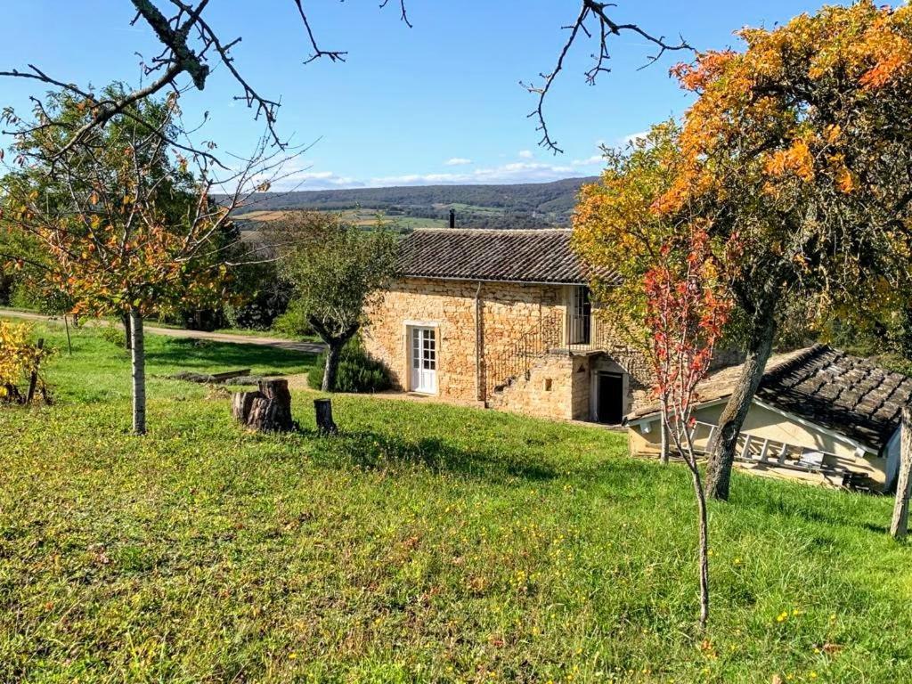 La Cadole du Vigneron, une semaine de sérénité Tournus Esterno foto